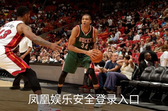 了解凤凰娱乐安全登录入口